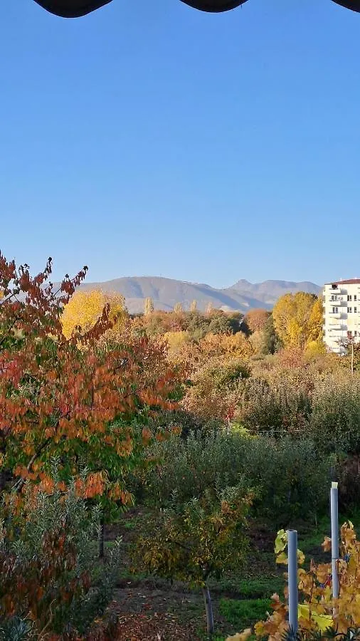 Vila Ilir Hotel Tushemisht