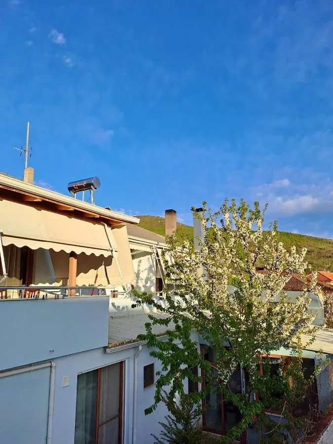 Vila Ilir Hotel Tushemisht Albanien